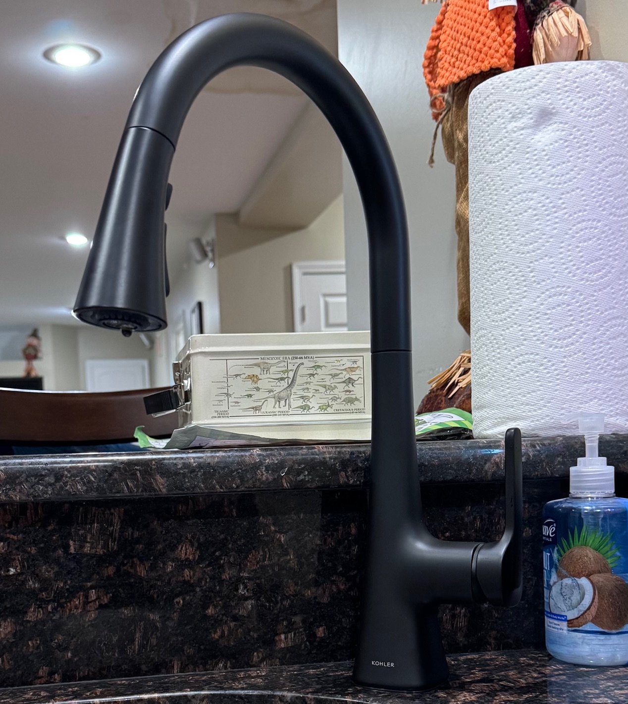 Faucet Installation in Downers Grove, IL